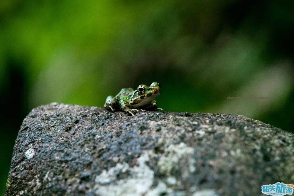 赞!涤荡身心、融入自然的好去处!山高水清树美，就藏在韶关!