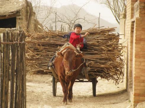 农村老话：“人穷休入众，位卑莫劝人”，什么意思？