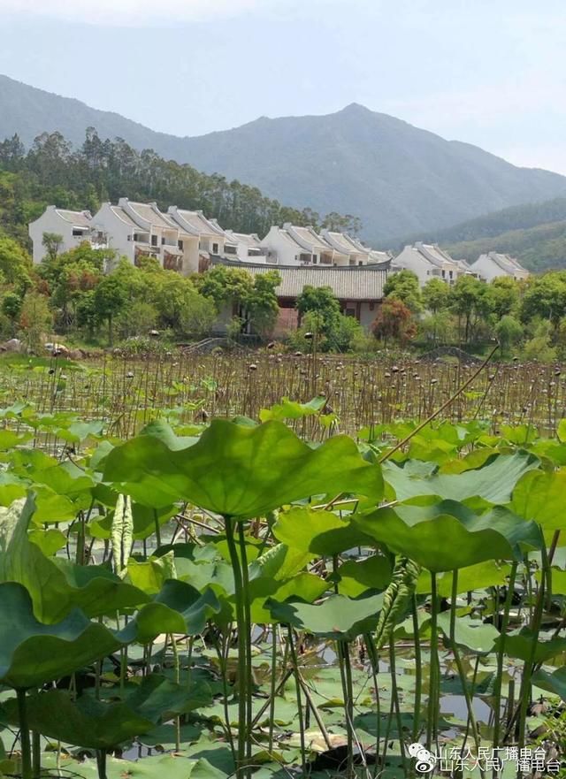 长泰的通关密码:生态