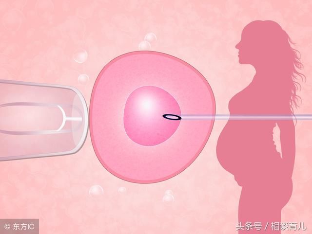 试管婴儿和人工受孕有什么区别?