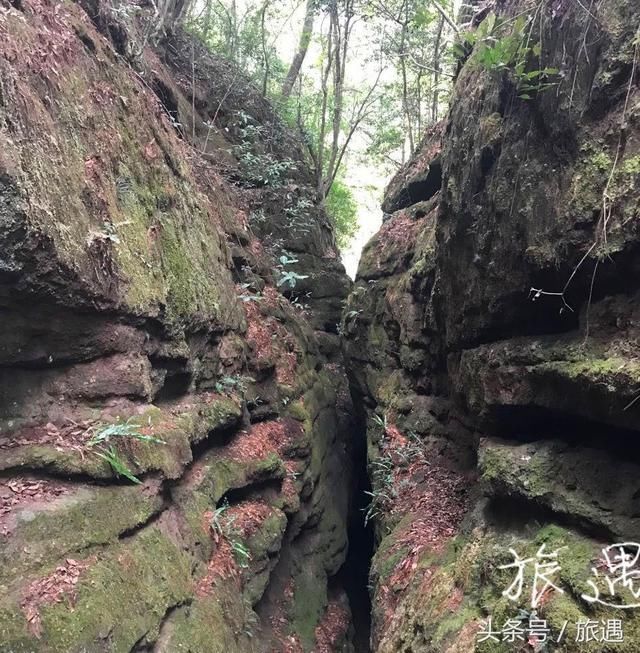 从高处俯瞰福建泰宁十里平湖：感受猫儿山公园的奇特之景