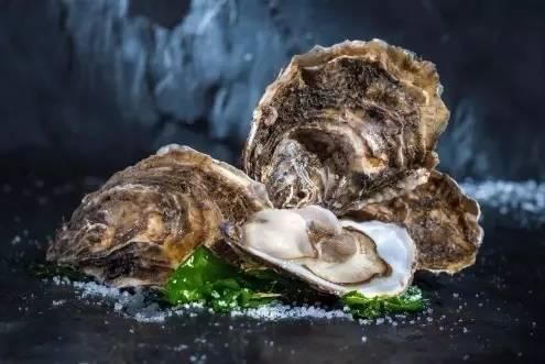 海南渔民整理的海鲜大全 ，以后不怕不认识海鲜了，赶紧收藏!