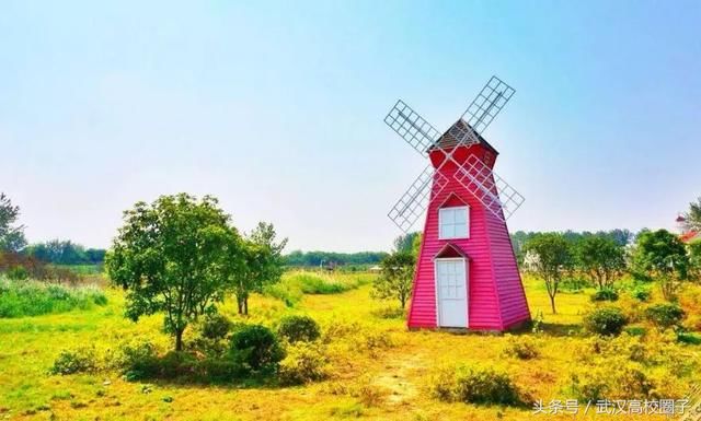 武汉30个春游免费景点大集合!踏青、骑行、拍照来这里就对了!