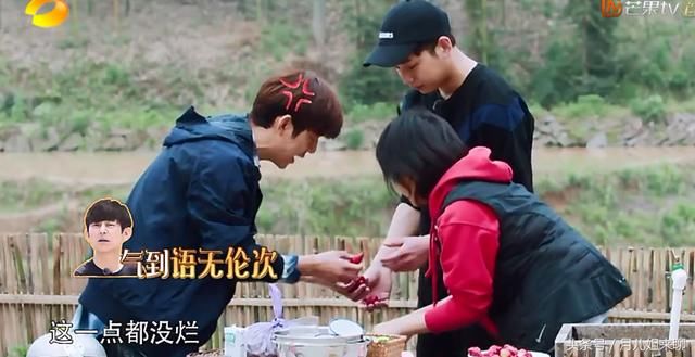 向往的生活:彭昱畅坑张子枫吃没熟透的草莓,却