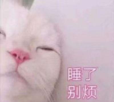 分享一组超可爱的表情猫咪,老夫的玻璃心都表情包我高山梦图片