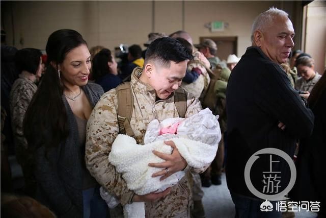 哪些明星给巴黎圣母院捐款了?