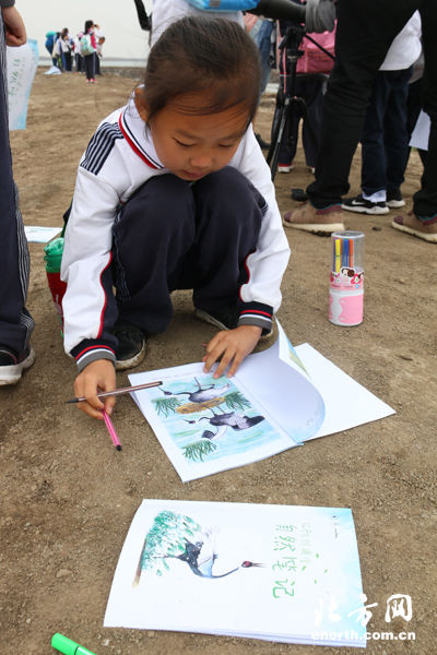 天津举办自然课堂:走进滨海湿地了解鸟类 扫
