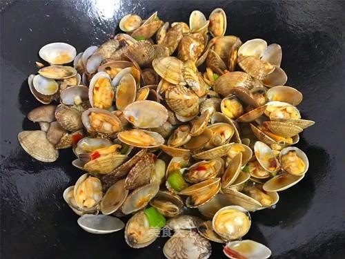 在家怎么养花蛤 t0166c3f5631de3fc72.jpg