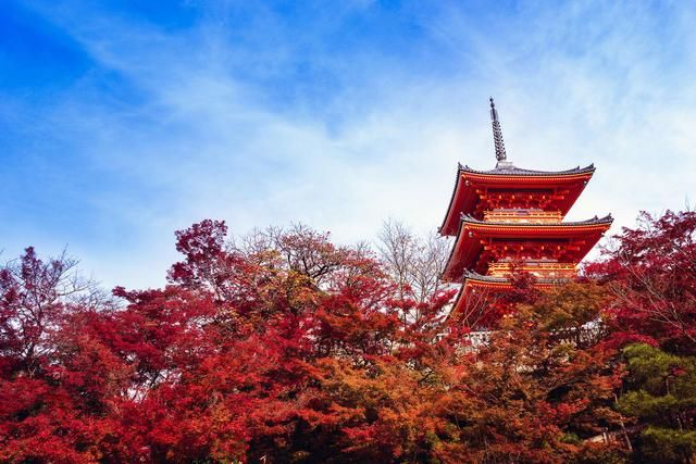 日本红叶季前瞻,现在买机票到底可以省多少钱