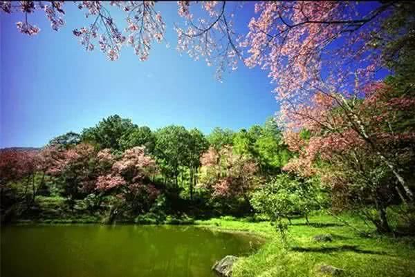 泰国最美国家公园：因他农山