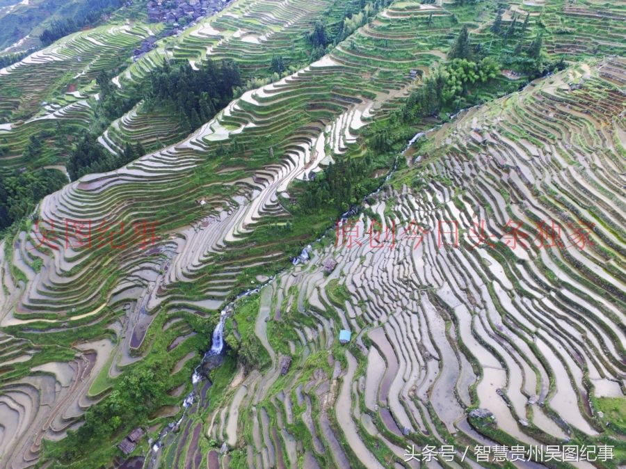 多彩贵州,从江苗族陡坡造田上万亩,全长二十五公里太壮观了
