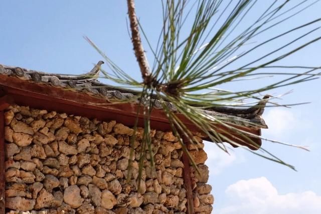 这座民宿位于玉龙雪山脚下第一村旁，是99％的游客都不知道的秘境