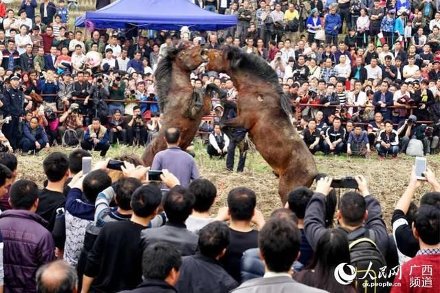 广西融水：人山人海欢庆十六坡民族盛会