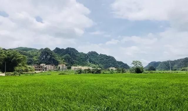 美美美美!广东罗定深藏着一个“世外桃源”般的田园~