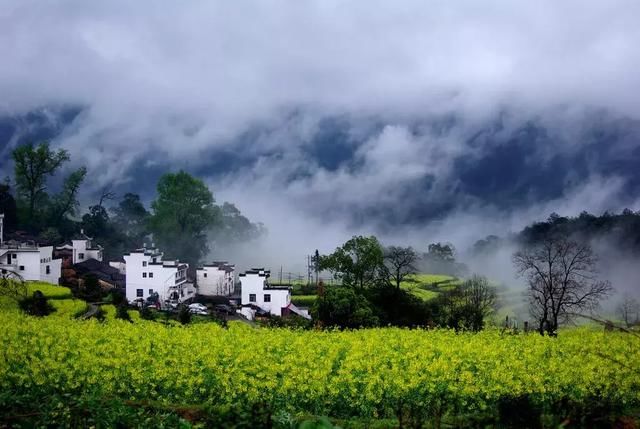 大好春光，3月花开成海！中国最美的10个赏花地，惊艳整个朋友圈