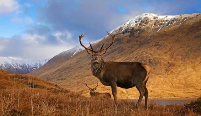 痛心!丹麦首富4个孩子3个丧生斯里兰卡恐袭.身