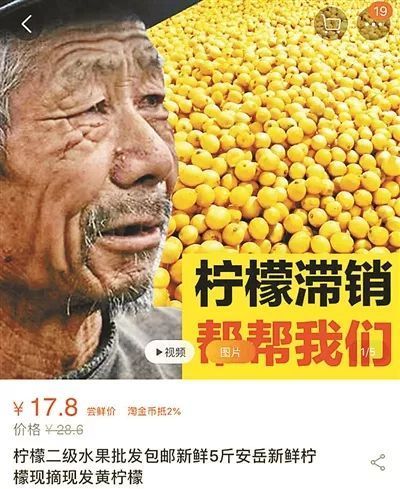 苹果滞销，老农欲哭无泪！别再被骗，这个悲情套路正在全国上演