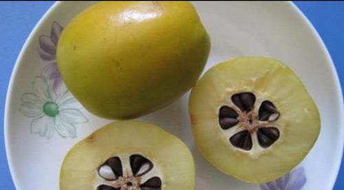 t0167c15b3b397c3182.jpg