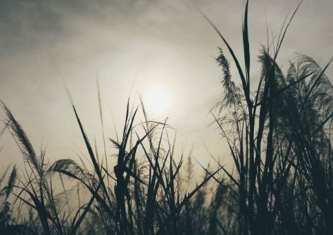 不必川藏线!榕城7条春季最佳骑行线就在旁边~