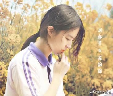 胡歌力挺,李兰迪韩东君还是输给了郑爽,这部电