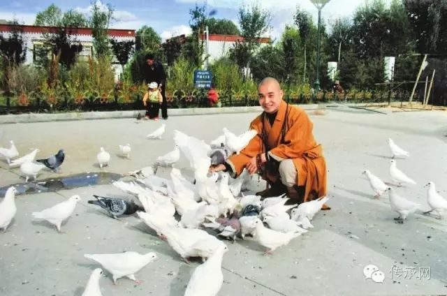 【宗性法师】改善生命从改善人生开始,改善人生从内心开始 网络最大赌博平台排行