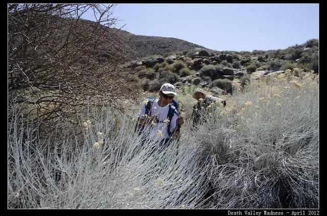 一 死亡谷国家公园