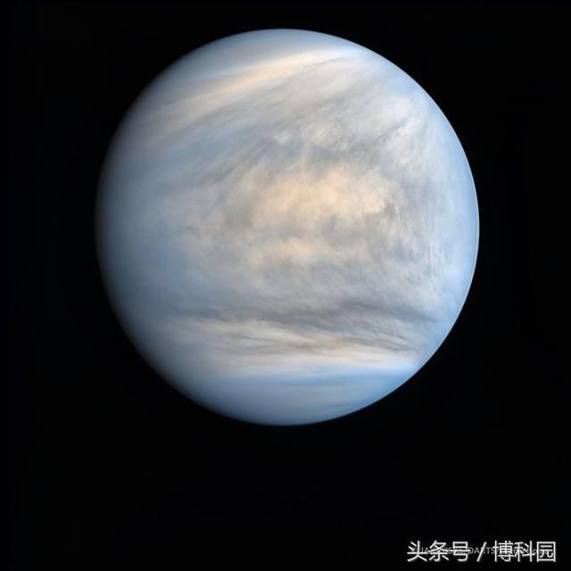 看太白金星啦！金星回到黄昏的天空