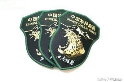 中国七支特种部队及其臂章,你认识几个?