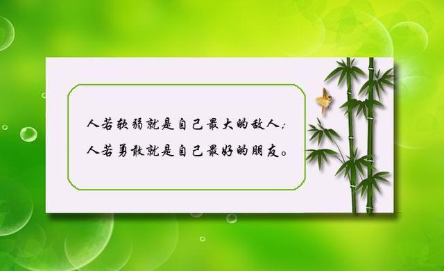 10句很不错的朋友圈经典语录，找个喜欢的发朋友圈吧