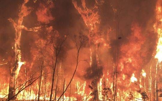 澳大利亚受火灾影响的城市