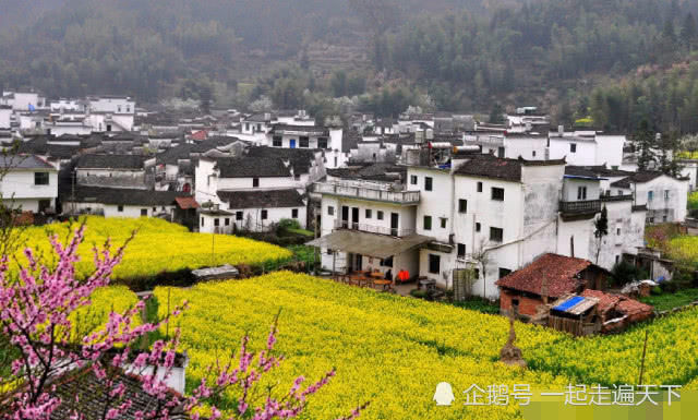 中国最美乡村：江西婺源，这里10万亩油菜花开了，如同天上人间