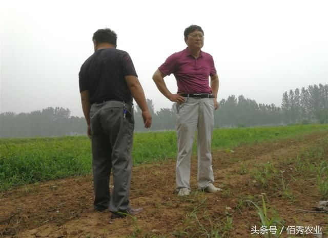 在农村赢得尊重，需要付出多大的努力，怎么做才能出力又讨好呢?