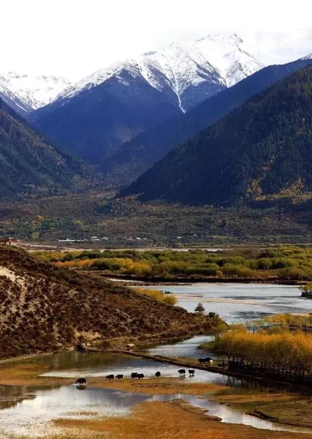 多少次梦想去次西藏旅游，看完这些我才踏上了梦中演绎的川藏线