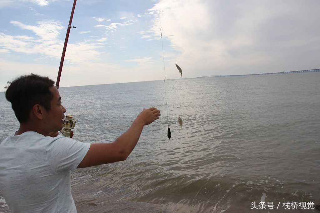 青岛胶州湾小螃蟹泛滥，赶海能抓好几百只回家油炸下酒爽歪歪