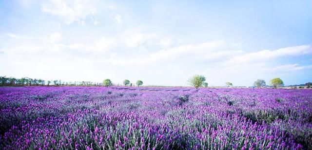 美翻了！五一这个地方必须曝光，门票还免费送！