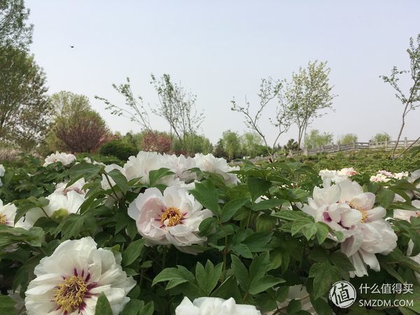 五一洛阳旅游简单攻略