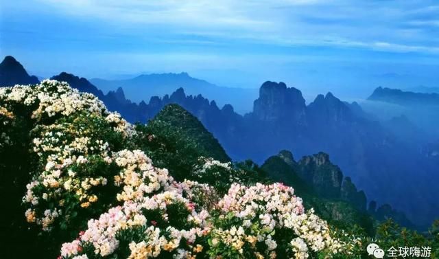 不小心惊艳了世界