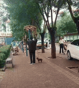 二哈钻泥坑,被奶奶抱到河沟里涮洗,二哈:这次遇到克星了…… bwin用户登录