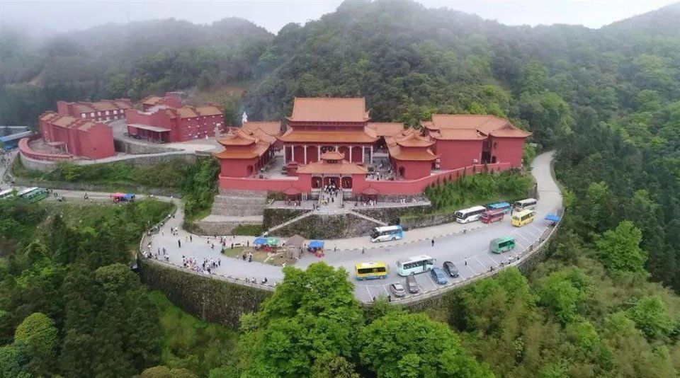 阳明山十万亩杜鹃燃爆 “五一”小长假 本周末仍是最佳花期