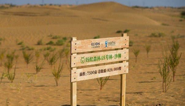 3年过去了,马云“天价”造的蚂蚁森林,现在长成森林了吗? 九州游戏娱乐网
