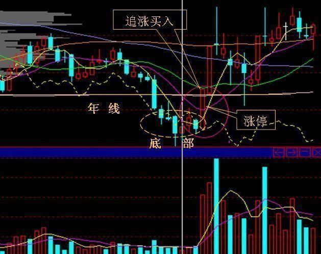 中国股市深夜发出一声怒吼，股民骂声一片，到底是谁在摧毁A股？