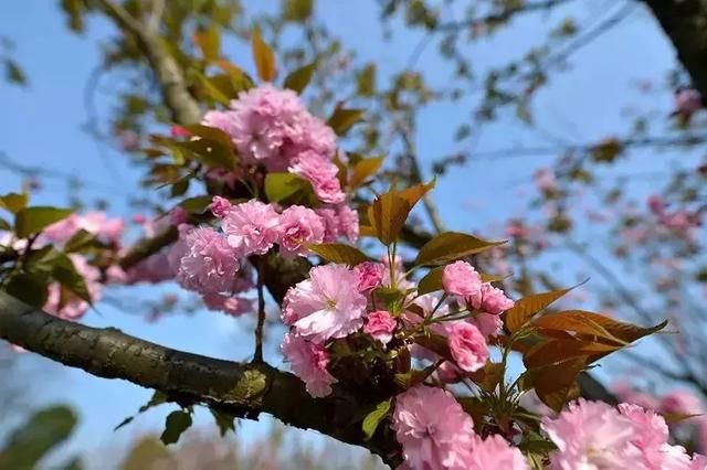 3月最佳旅行地出炉 再别错过了！