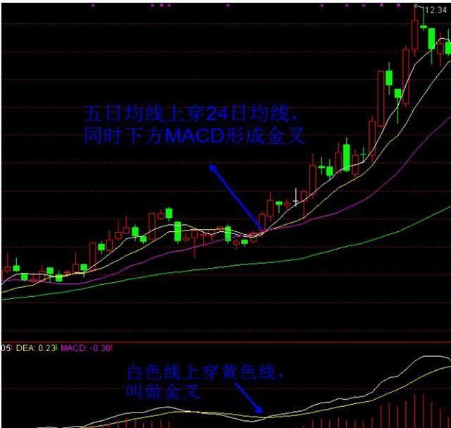 炒股牢记这十条短线最牛的选股铁律，赢的是你输的是别人