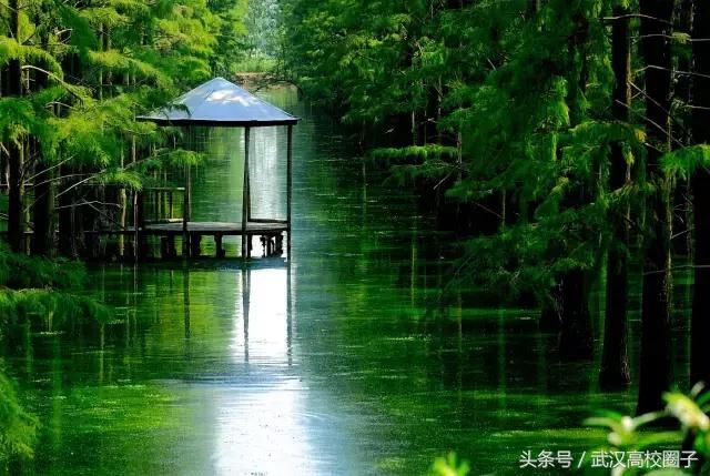 武汉30个春游免费景点大集合!踏青、骑行、拍照来这里就对了!