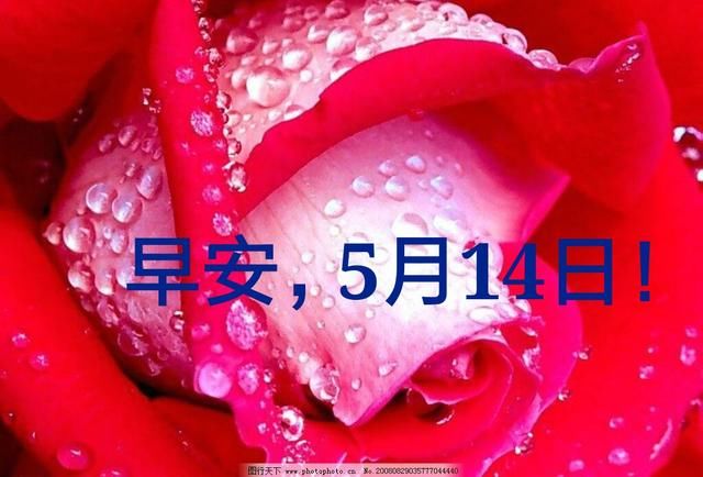 早安，5月14号！早安，真爱一世！