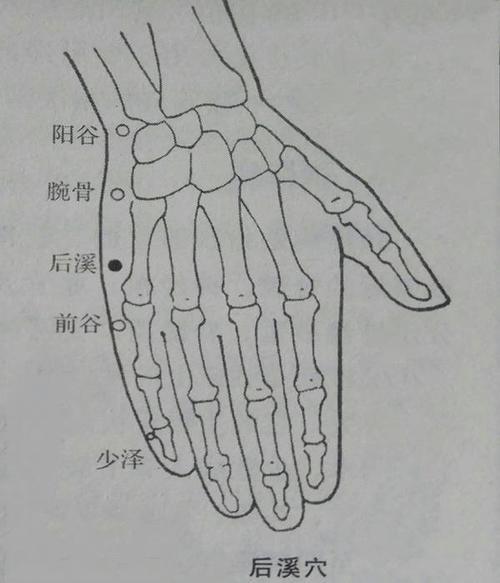 颈椎病只需针灸这四个穴位,7天见好转