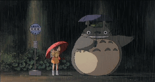 搞笑GIF：大家喜欢龙猫吗？