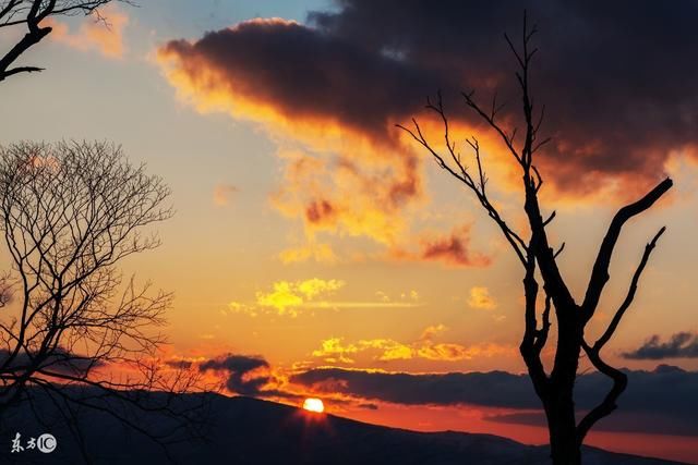 愿你成为自己的太阳,无须凭借谁的光