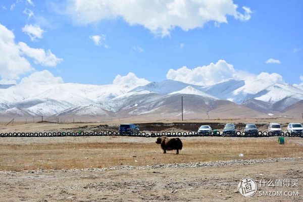 #原创新人#青海:一张蓝色画板上，映出绚烂世界