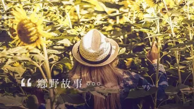 论排版设计,中文字体排版设计是厉害的数字单片机音乐盒设计图片